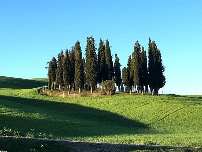 Апартаменти Finestra Sulla Val D'Orcia Сан-Куїрико-д'Орча Екстер'єр фото